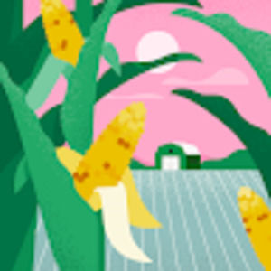 Meet your Posher, Stacyann